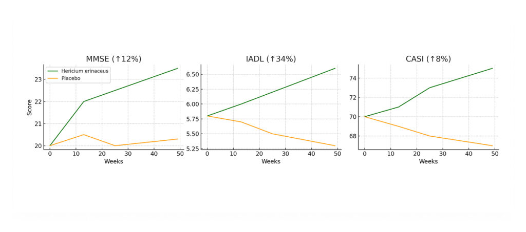 Cognitive Function Improvement